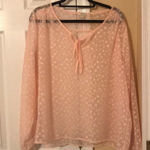 Pink, Sheer J.Crew blouse